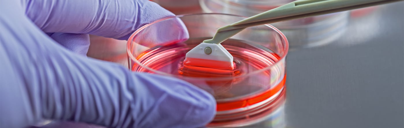 kok-hucre-2 - Rita Clinic